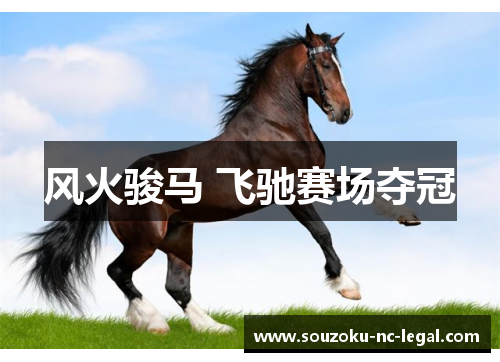 风火骏马 飞驰赛场夺冠